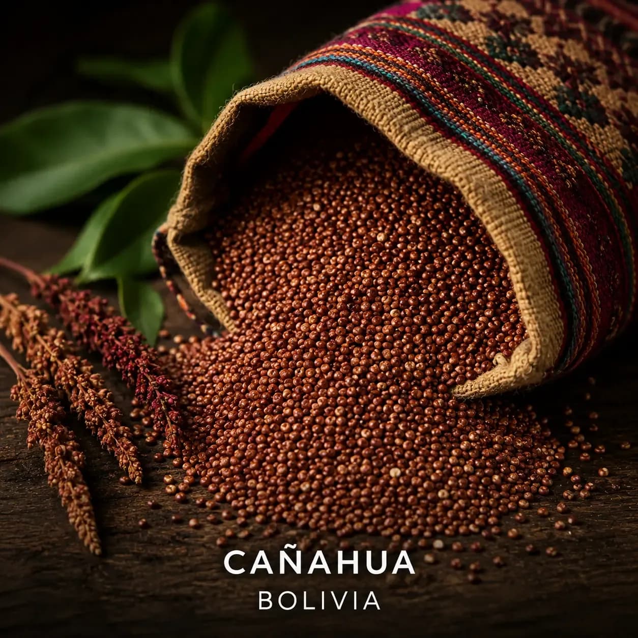 Cañahua